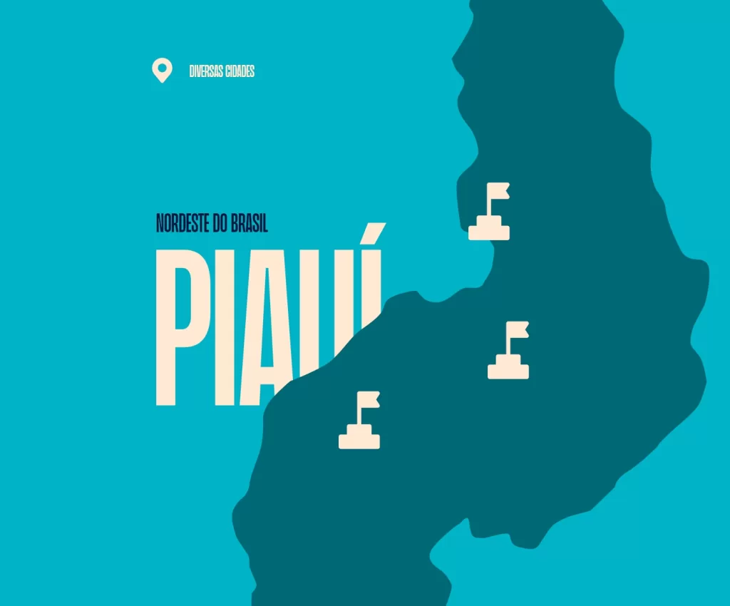 Silhueta com mapa do Piauí